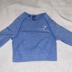 Vital Seamless Long Sleeve Crop Top